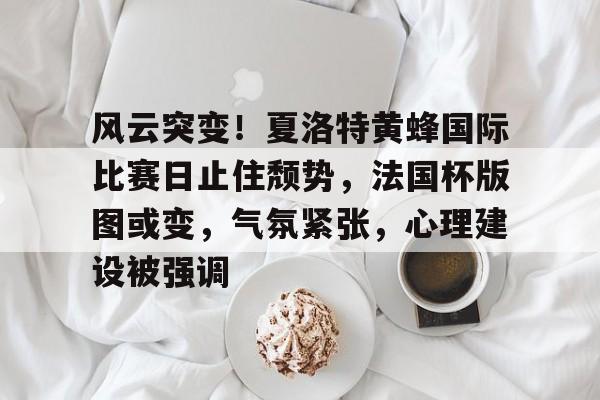 包含风云突变!夏洛特黄蜂国际比赛日止住颓势,法国杯版图或变,气氛紧张,心理建设被强调的词条