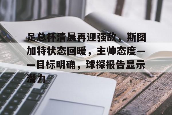 斯图加特足球俱乐部主力阵营预测